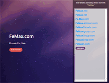Tablet Screenshot of femax.com